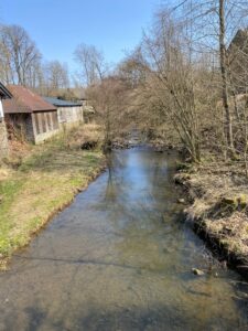 Holzbach