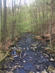 Holzbachschlucht
