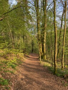 Wanderweg