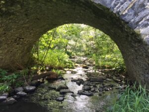 Brücke zur Holzbachschlucht