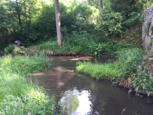 Holzbach